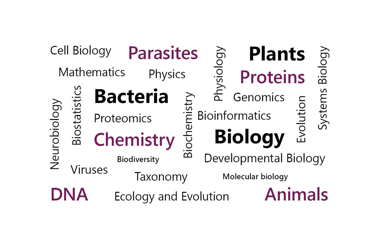 Infografik: Eine Wortwolke zeigt Begriffe aus der Biologie und verwandten Wissenschaften, darunter Biologie, Chemie, Bakterien, DNA, Proteine, Pflanzen, und mehr.