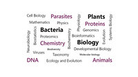 Infografik: Eine Wortwolke zeigt Begriffe aus der Biologie und verwandten Wissenschaften, darunter Biologie, Chemie, Bakterien, DNA, Proteine, Pflanzen, und mehr.