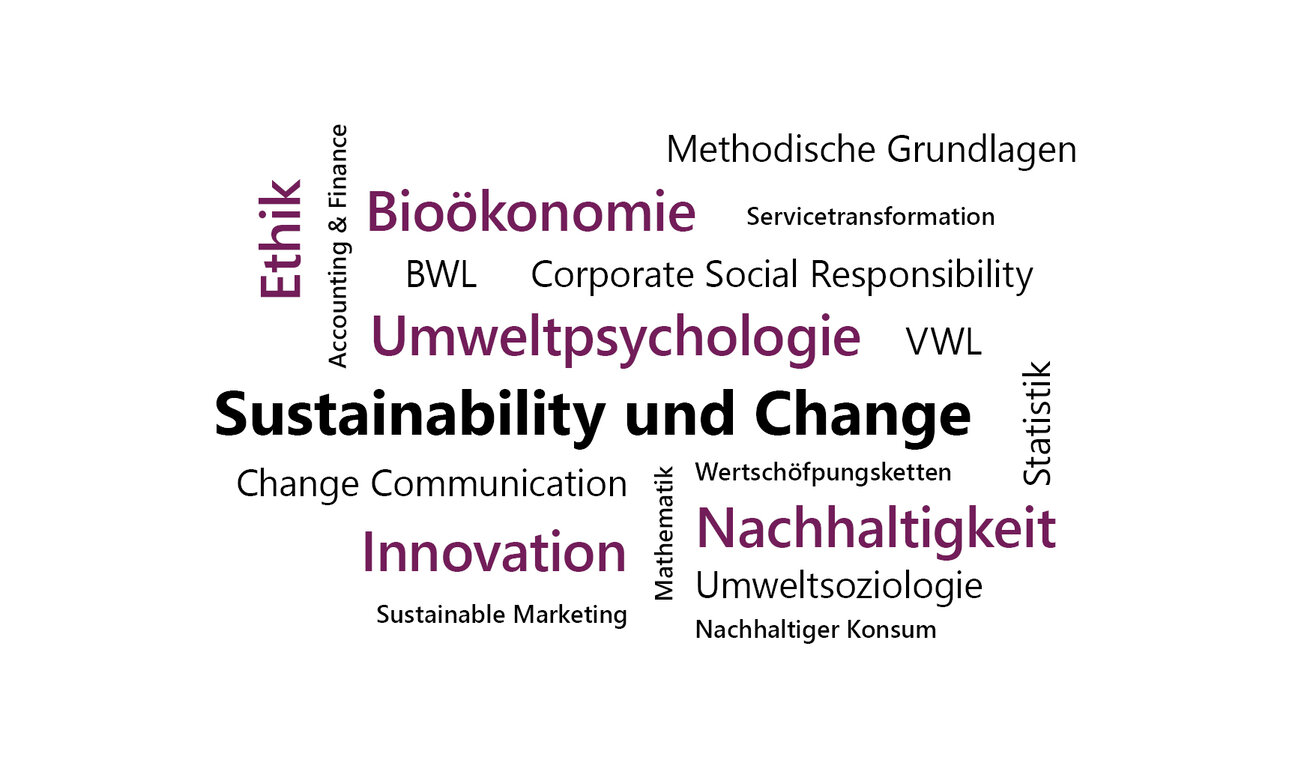 Text auf Bild: Methodische Grundlagen in Bioökonomie, Servicetransformation, BWL, Corporate Social Responsibility, Umweltpsychologie, VWL, Sustainability und Change, Change Communication, Wertschöpfungsketten, Innovation, Nachhaltigkeit, Umweltsoziologie, Sustainable Marketing und nachhaltiger Konsum.