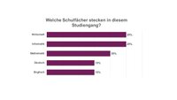 Infografik: Ein Balkendiagramm zeigt die Verteilung von Schulfächern in einem Studiengang. Wirtschaft und Informatik jeweils 25%, Mathematik 20%, Deutsch und Englisch jeweils 15%. Der Titel lautet: "Welche Schulfächer stecken in diesem Studiengang?"