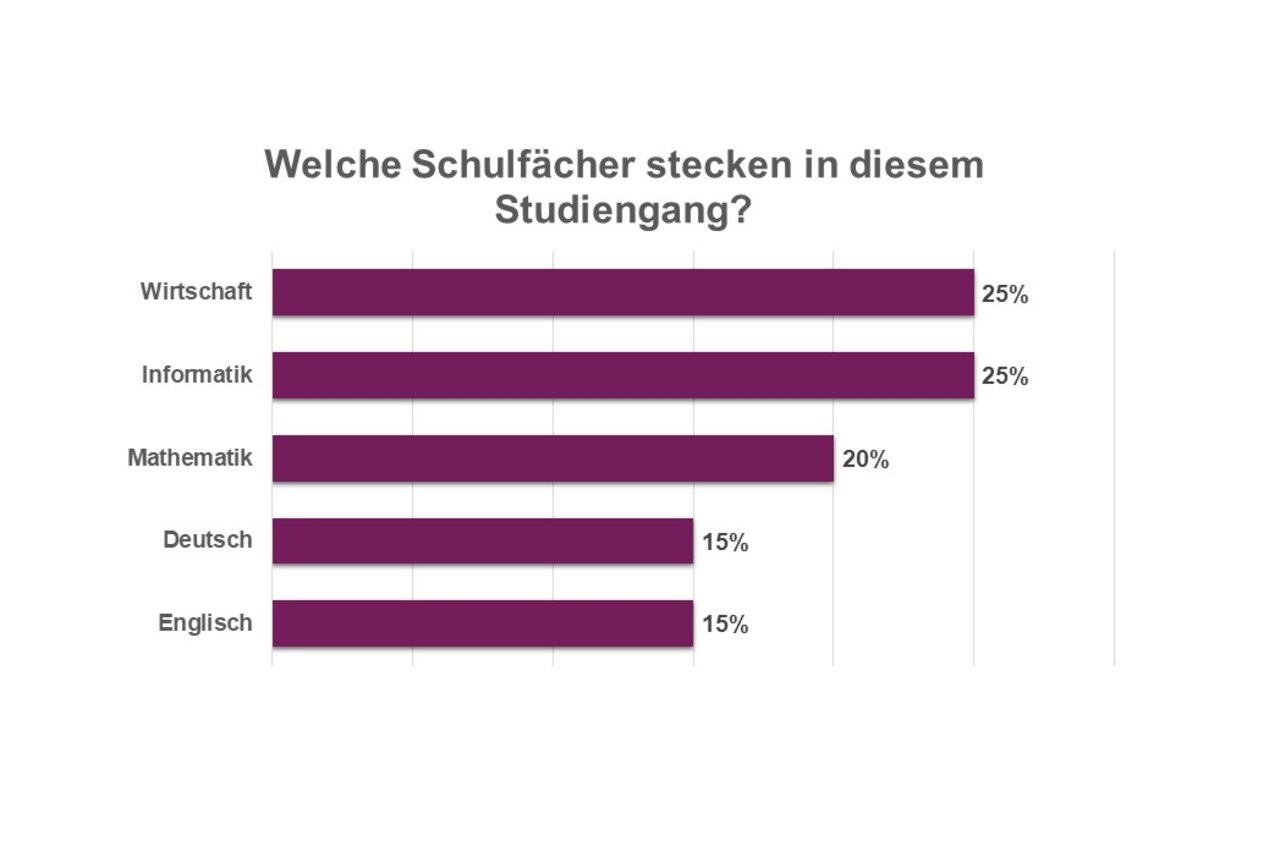 Infografik: Ein Balkendiagramm zeigt die Verteilung von Schulfächern in einem Studiengang. Wirtschaft und Informatik jeweils 25%, Mathematik 20%, Deutsch und Englisch jeweils 15%. Der Titel lautet: "Welche Schulfächer stecken in diesem Studiengang?"