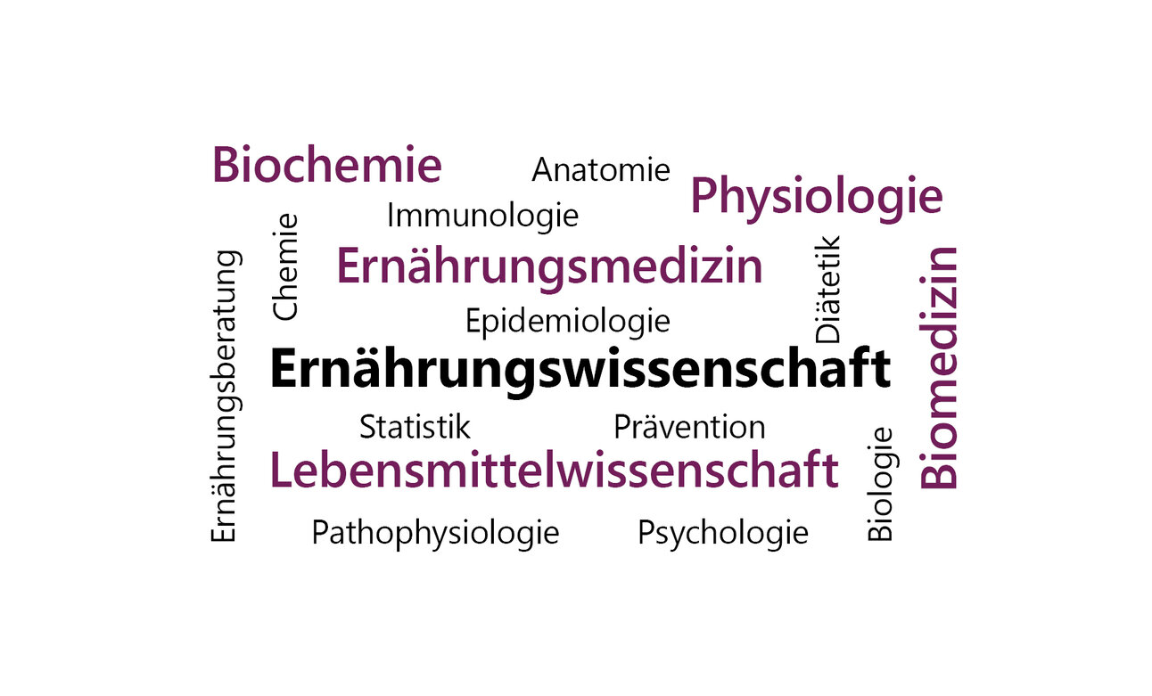 Infografik: Eine Wortwolke zeigt Begriffe aus den Bereichen Ernährungswissenschaft, Biochemie, Physiologie und mehr. Zentrale Begriffe sind "Ernährungswissenschaft" und "Lebensmittelwissenschaft". Weitere Begriffe umfassen Anatomie, Immunologie, Statistik und Psychologie.