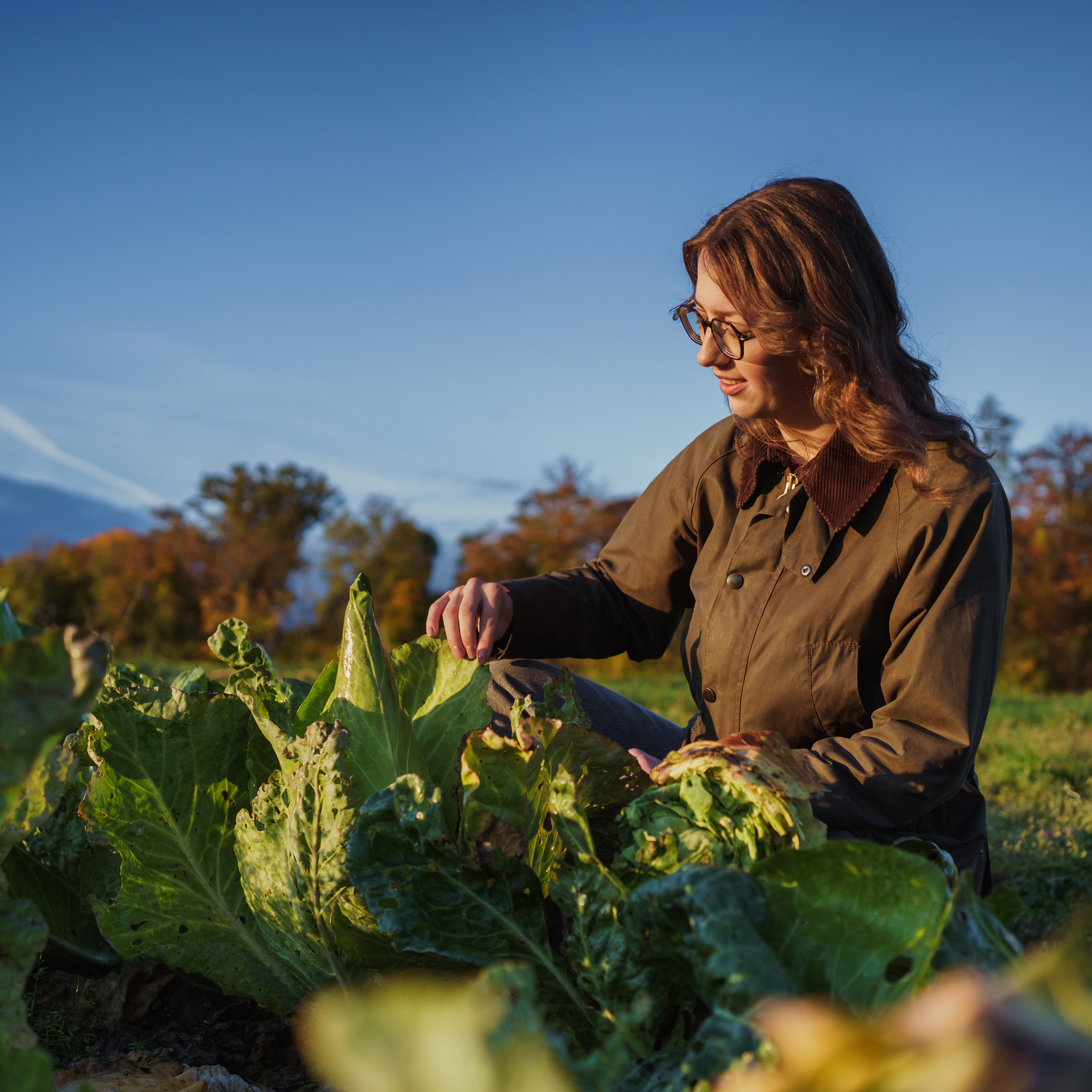 Agrarwissenschaften: Studienrichtung Gartenbauwissenschaften